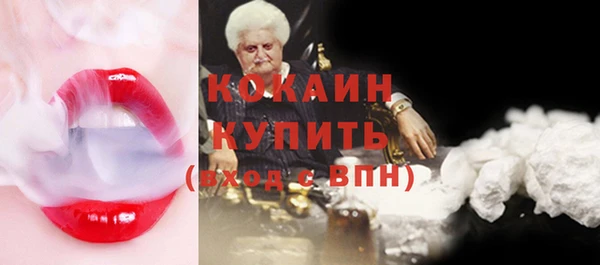 твердый Алексин