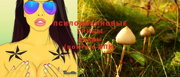 ешки Алзамай