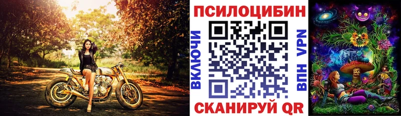 хочу   Курганинск  Псилоцибиновые грибы Magic Shrooms 